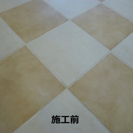 カララント[320g]【米国製目地着色剤】