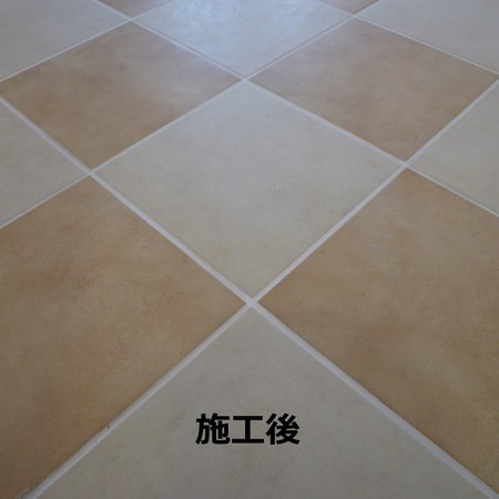 カララント[320g]【米国製目地着色剤】