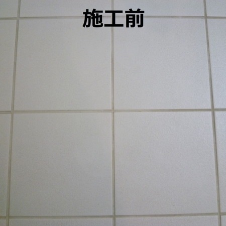 カララント[320g]【米国製目地着色剤】