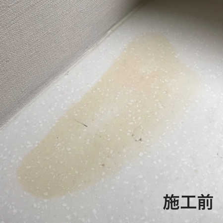ステインリムーバー【業界最安値！シミ抜き剤の決定版】