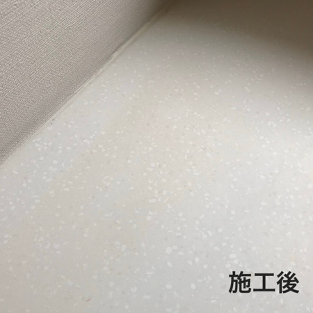ステインリムーバー【業界最安値！シミ抜き剤の決定版】