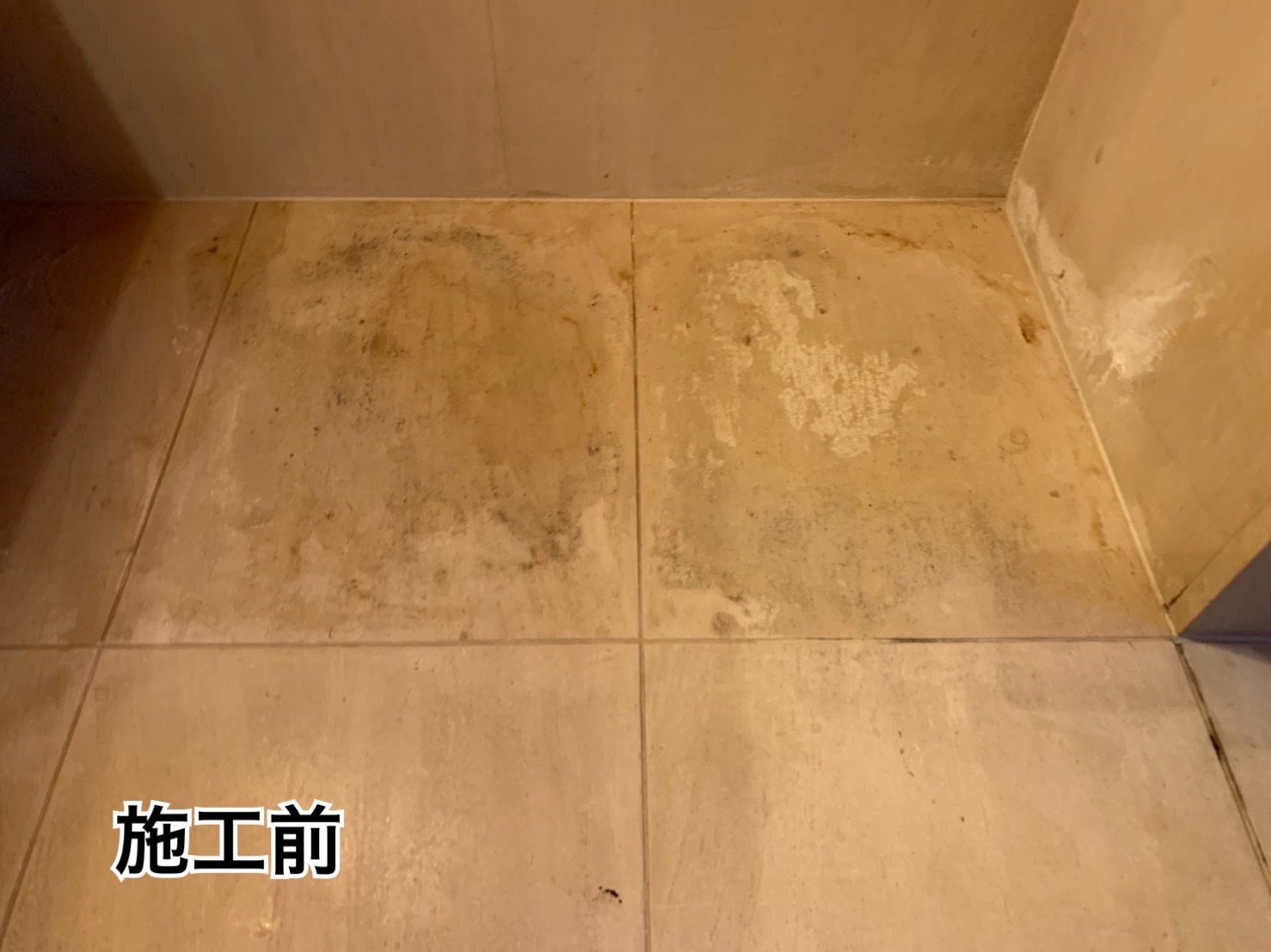 カビリムーバー【石材・木材のカビ・コケ・汚れ除去剤】