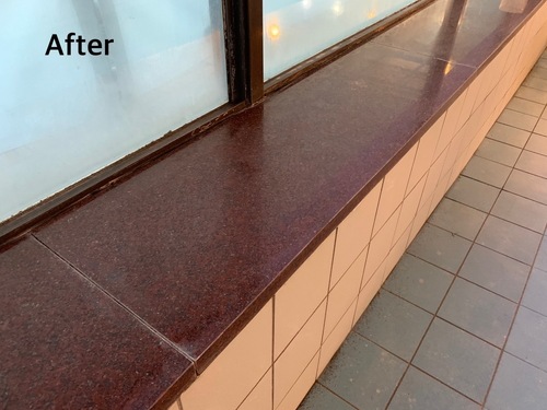 100Φ スクラバー