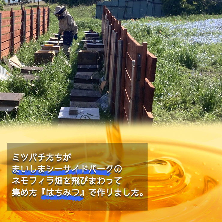 舞洲(まいしま)はちみつ