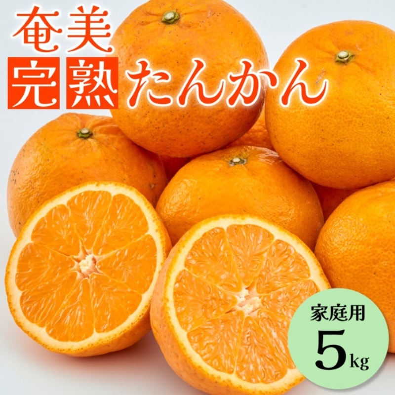 予約販売 奄美完熟たんかん 5kg 家庭用 お届け2月中旬から3月上旬 鹿児島県奄美市から直送
