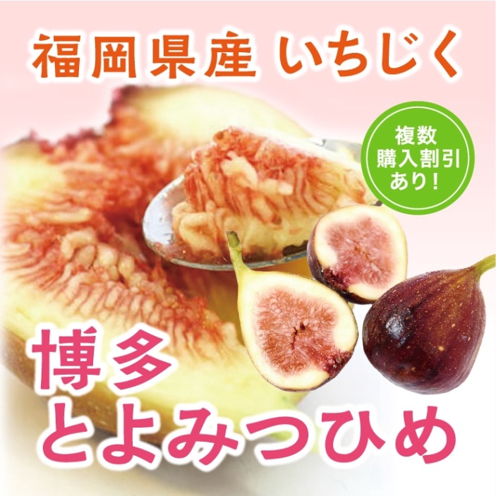 【8月頃予約開始】福岡県産いちじく　博多とよみつひめ　約900g