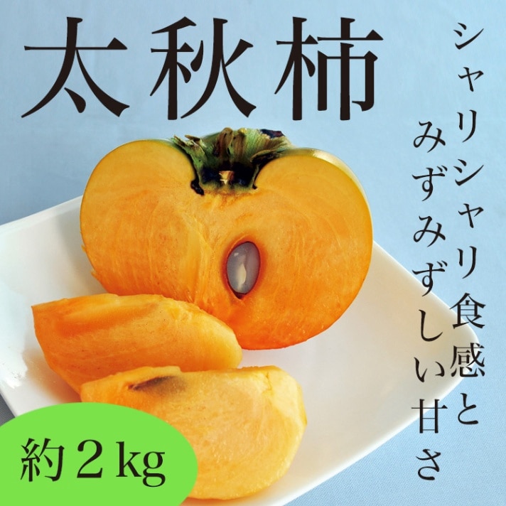 【9月頃予約開始】予約販売 太秋柿 贈答用 (約2kg/5～6玉) 福岡県産 100箱限定 送料無料