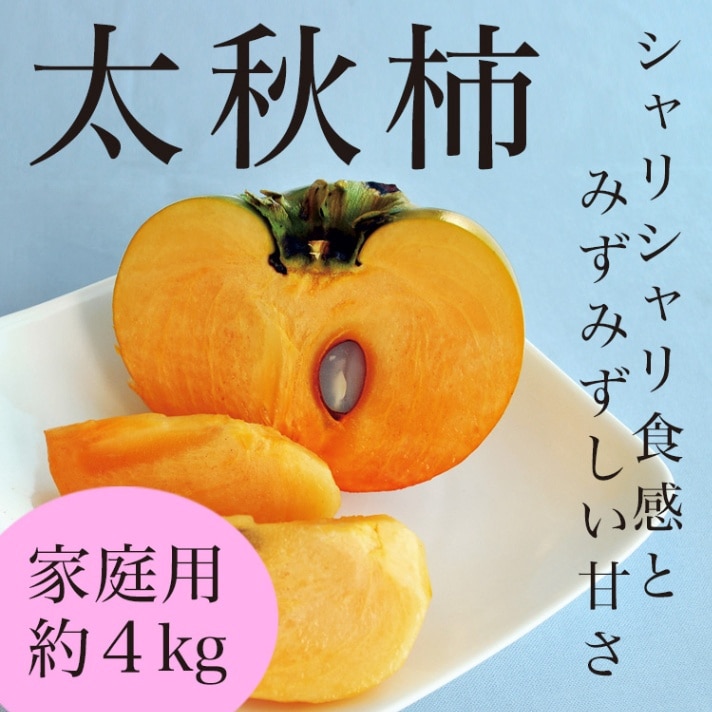 【9月頃予約開始】予約販売 太秋柿家庭用 (約4kg/12～14玉) 福岡県産 100箱限定 送料無料