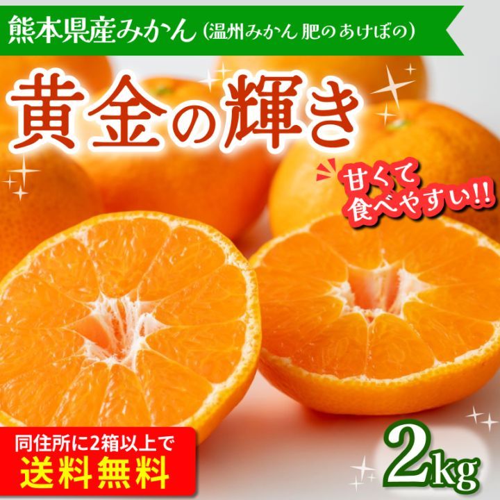 熊本県産 温州みかん 黄金の輝き 肥のあけぼの 2kg | 果物・野菜
