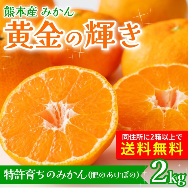 黄金の輝き　２kg