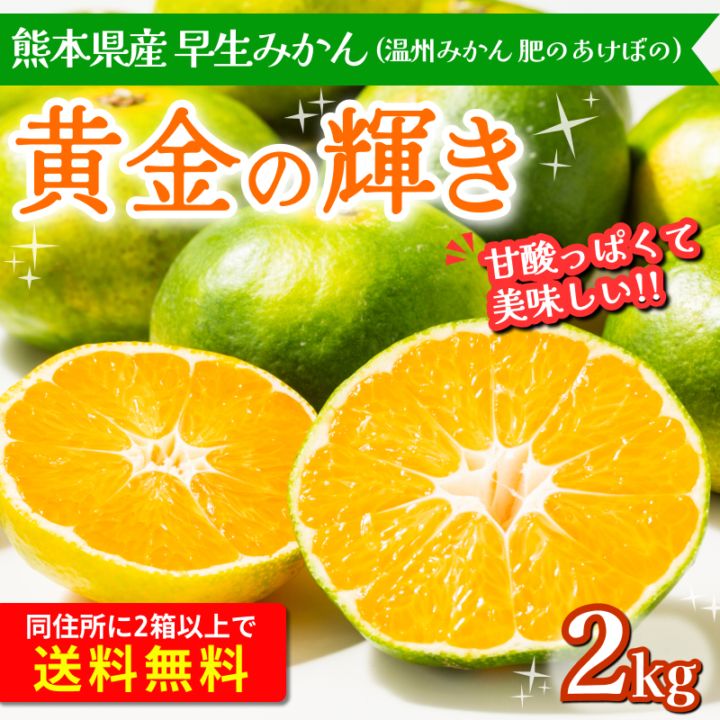 【予約販売】熊本県産 早生みかん 黄金の輝き 2kg 家庭用 お届け9月下旬から 栽培期間中化学肥料不使用※送料1,000円2箱以上で送料無料※
