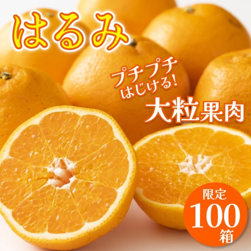 【12月頃予約開始】はるみ 5kg 家庭用