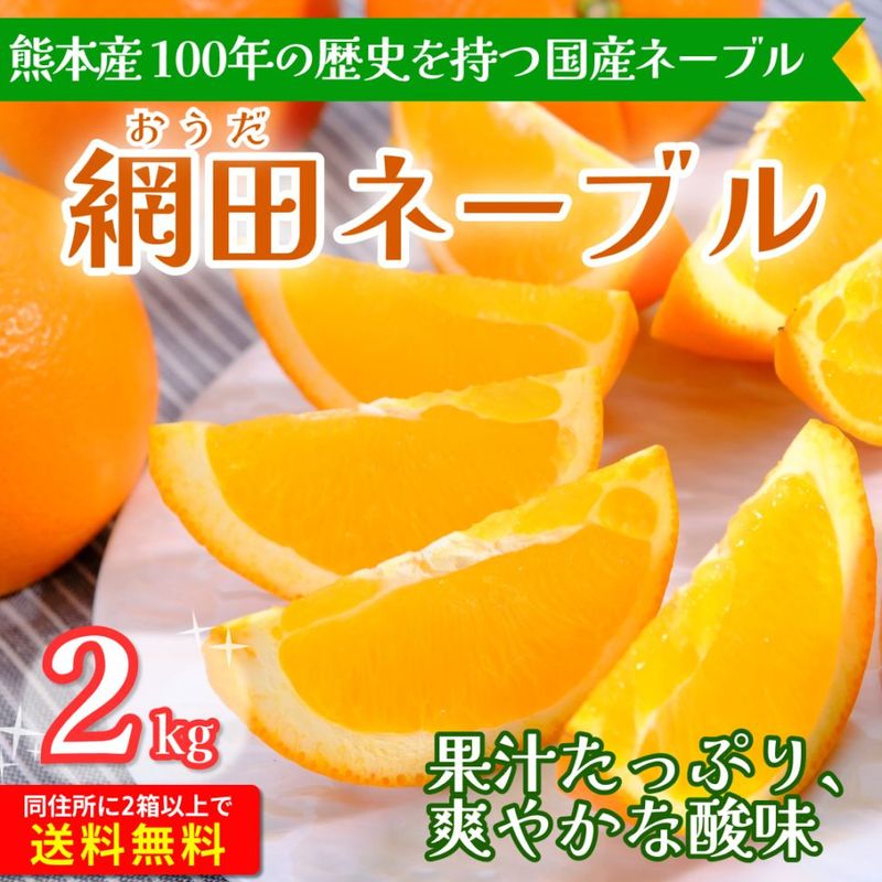 網田ネーブル 2kg 家庭用 純国産 熊本から産地直送 お届け時期1月中旬から3月下旬※送料1,000円 2箱で送料無料※