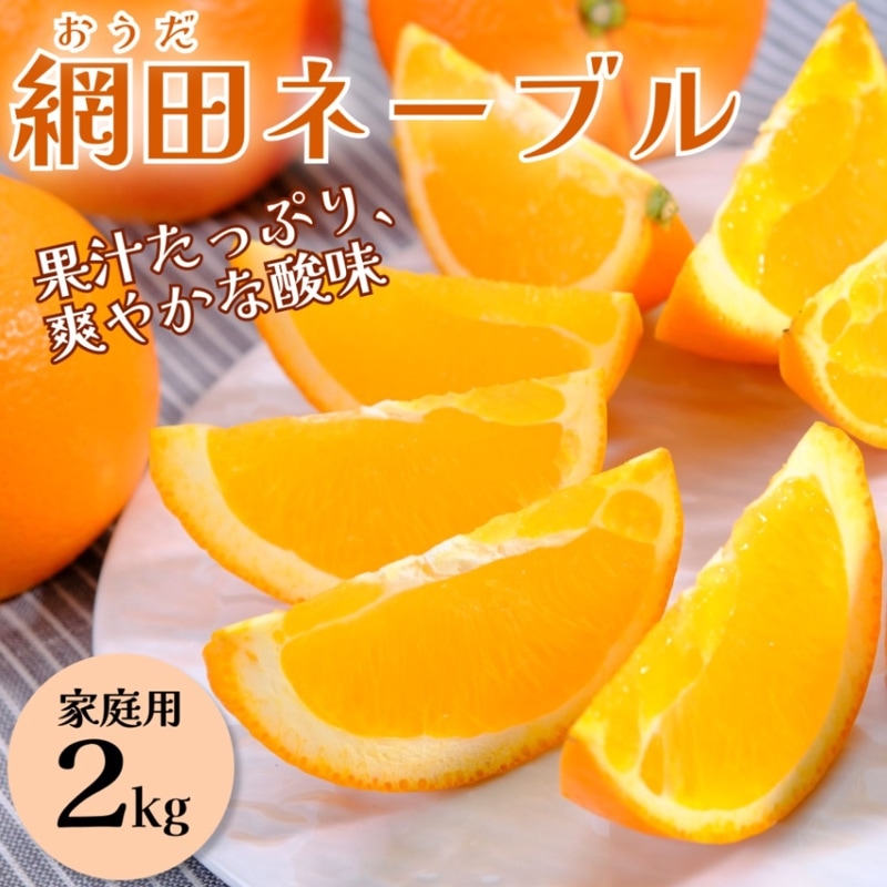 網田ネーブル 2kg【家庭用】DM