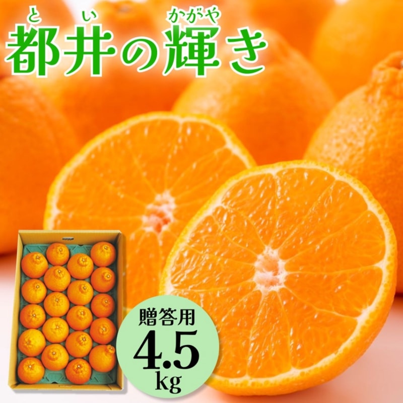 都井の輝き 4.5kg【贈答用】DM