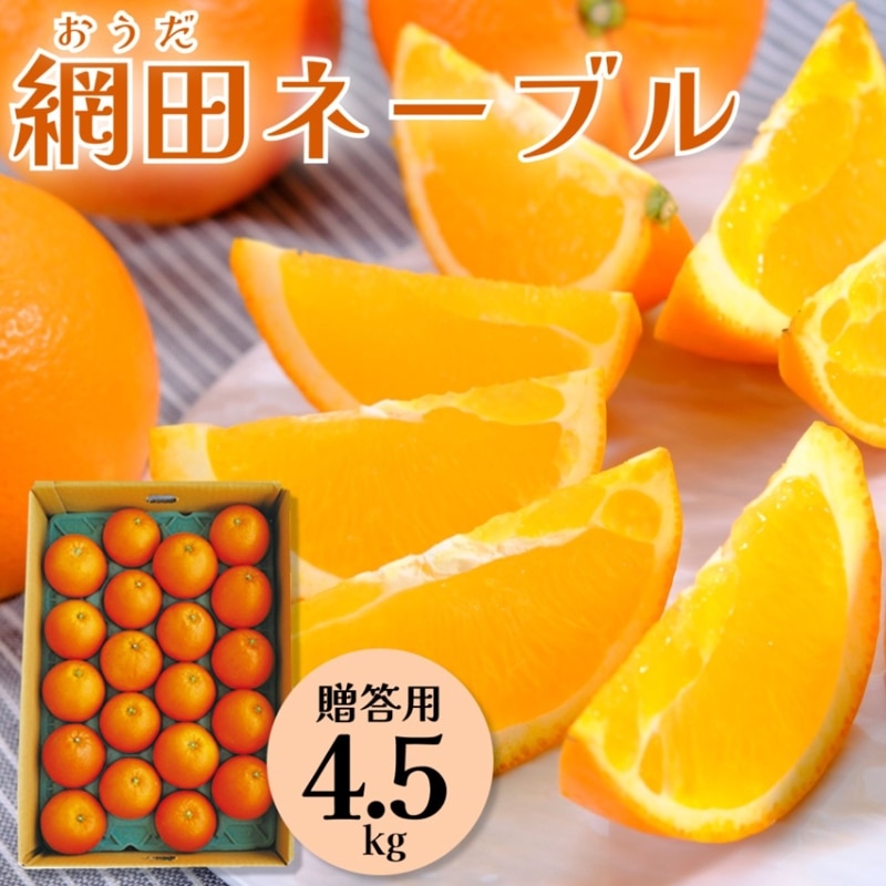 網田ネーブル 4.5kg【贈答用】熊本から産地直送 お届け1月中旬～3月中旬