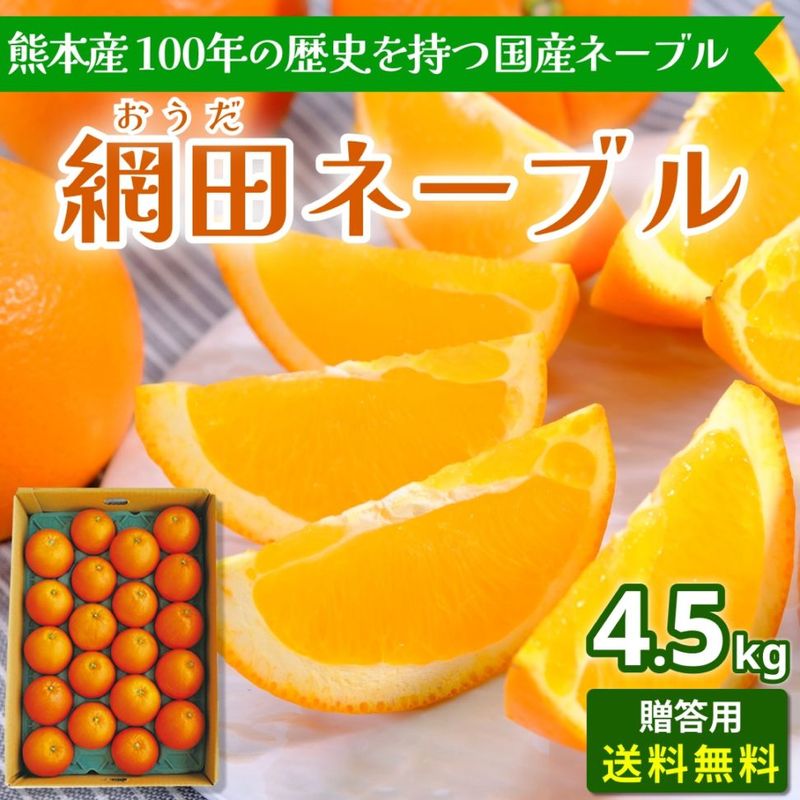 網田ネーブル 4.5kg 贈答用 純国産 熊本から産地直送 お届け1月中旬～4月下旬 送料無料