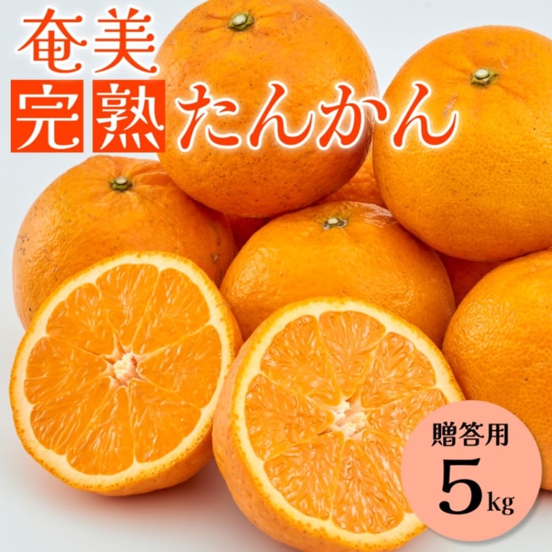 予約販売 奄美完熟たんかん 5kg 贈答用 お届け2月中旬から3月上旬 鹿児島県奄美市から直送
