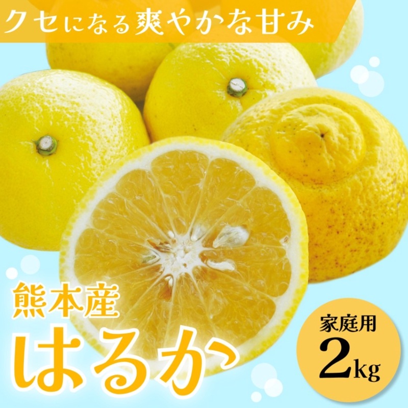 超熱 | 2kg【家庭用】 はるか 果物・野菜 毎日通販 | 果物