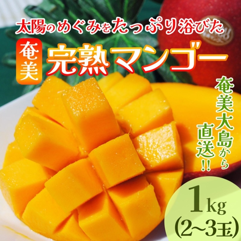 【6月頃予約販売開始】奄美完熟マンゴー2～3玉(約1kg)奄美大島産 7月下旬～８月中旬お届け
