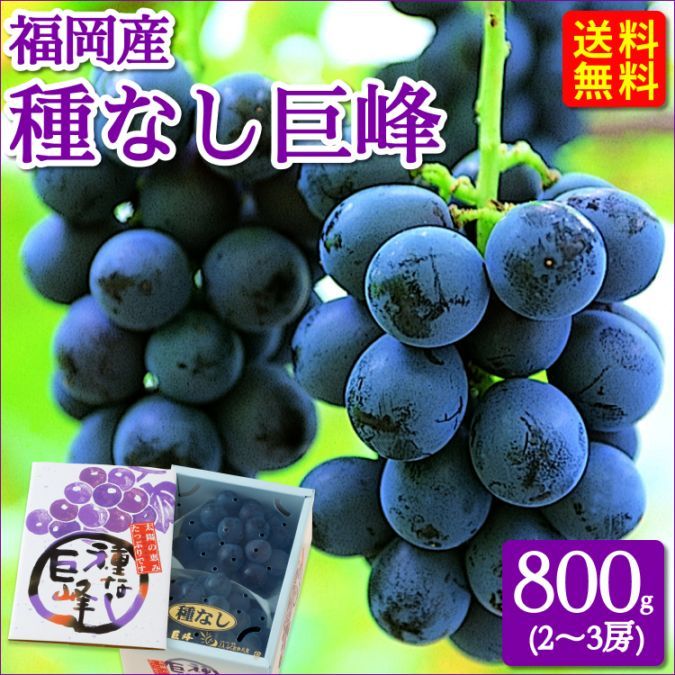 【7月頃予約開始】種なし巨峰　約800g 2～3房