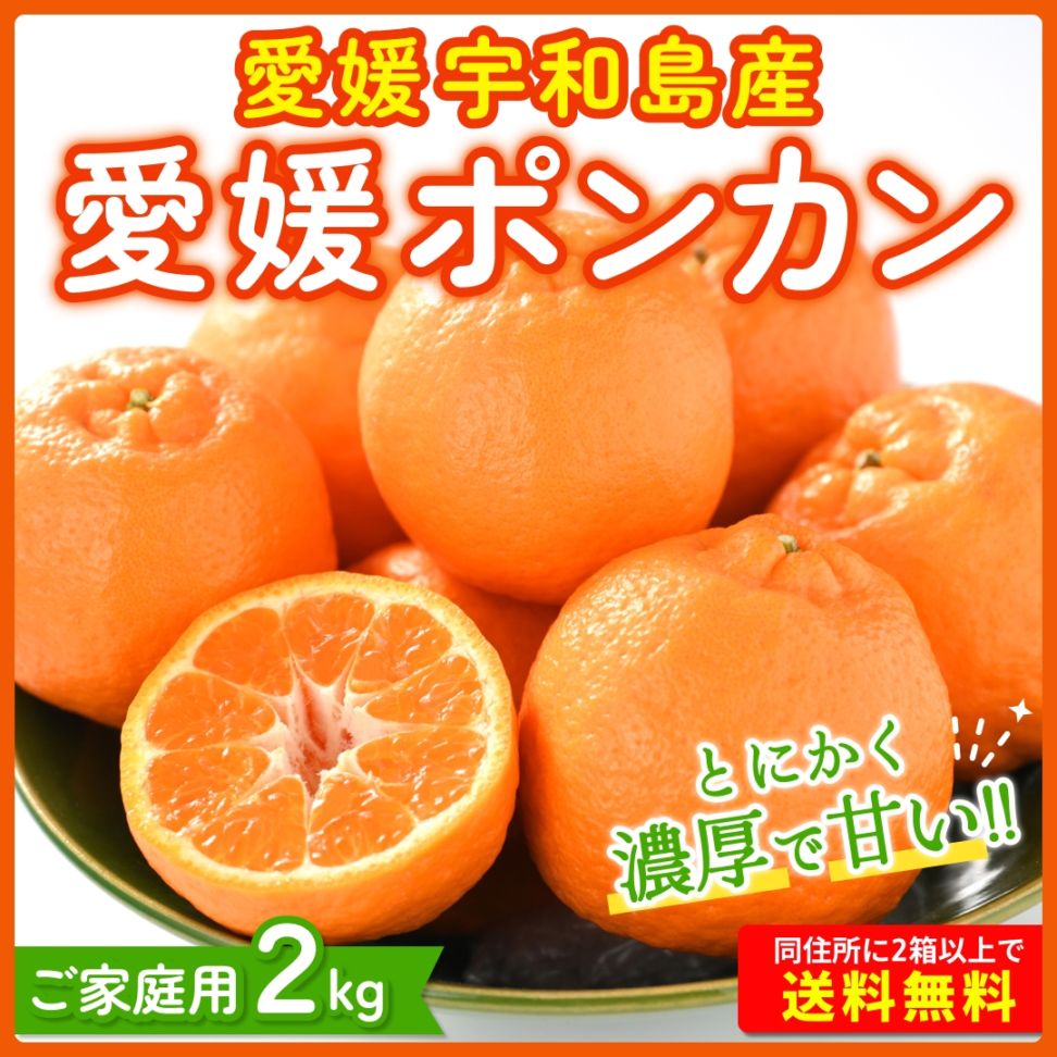 9月頃予約開始】りんご シナノスイート 秀品 約1.8kg(5～10玉) お届け