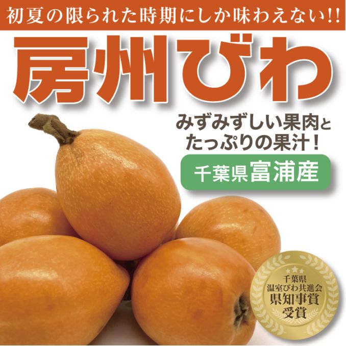 房州びわ 贈答用(2Lサイズ12個) / 家庭用(Lサイズ2kg)  千葉県産