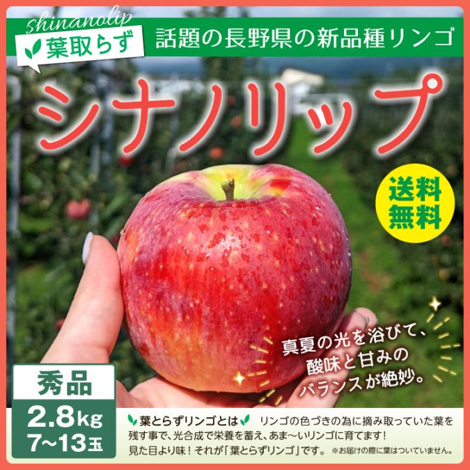 新品種りんご シナノリップ 秀品 2.8kg(7～13玉) お届け時期8月10日以降 長野北信地域より産地直送