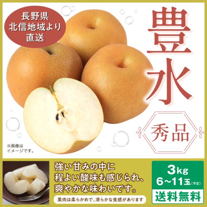 【予約販売】豊水 梨 秀品 3kg(6～11玉予定) お届け時期9月上旬以降予定 長野北信地域より産地直送