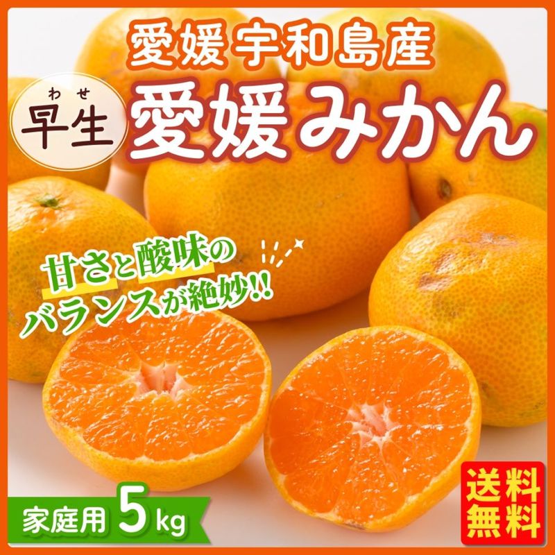 【予約販売】早生 愛媛みかん 5kg ご家庭用 サイズS~L混合 愛媛宇和島から直送 お届け時期11月上旬から 送料無料