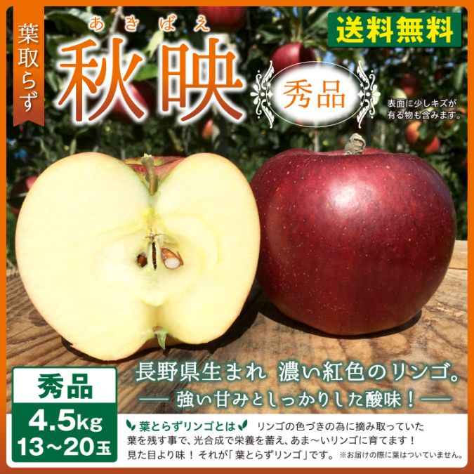 【予約販売】りんご 秋映 秀品 4.5kg(13～20玉) お届け時期10月中旬予定 長野北信地域より産地直送