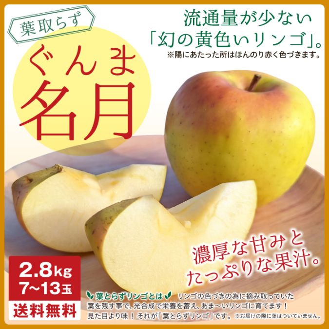 予約販売】りんご ぐんま名月 2.8kg(7～13玉) お届け時期11月上旬以降