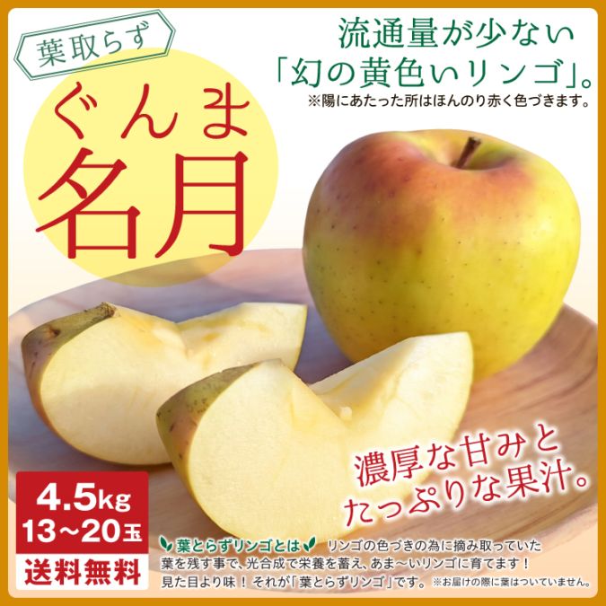 高級 温室マスクメロン 2玉 秀品3kg以上 愛知県渥美半島から産地直送 6