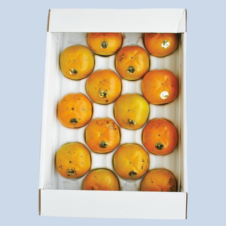 9月頃予約開始】予約販売 太秋柿家庭用 (約4kg/12～14玉) 福岡県産 100