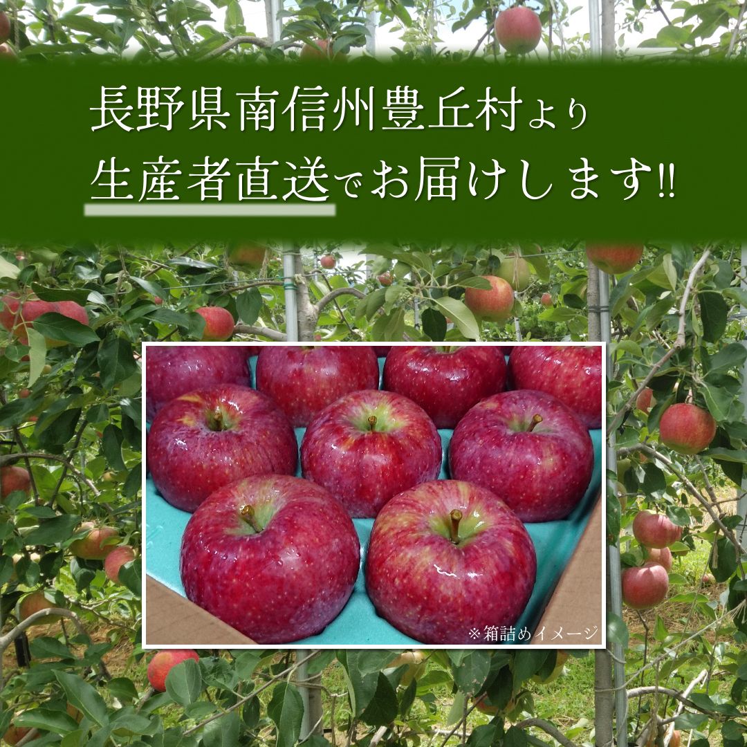 完売御礼】新品種りんご シナノリップ 秀品 約1.8kg(5～10玉) お届け