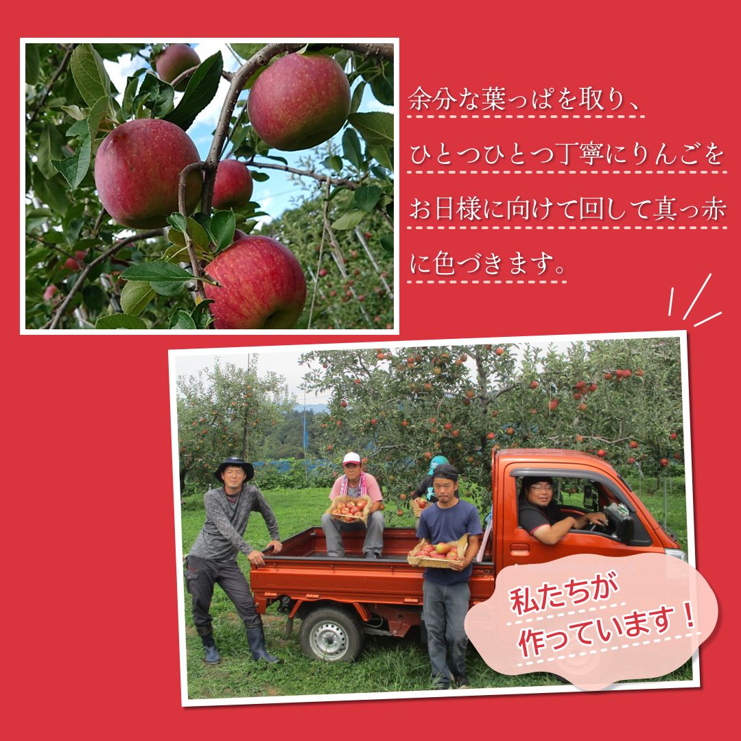 完売御礼】新品種りんご シナノリップ 秀品 約1.8kg(5～10玉) お届け