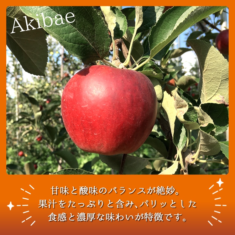 予約販売】りんご 秋映 秀品 2.8kg(7～13玉) お届け時期10月中旬予定