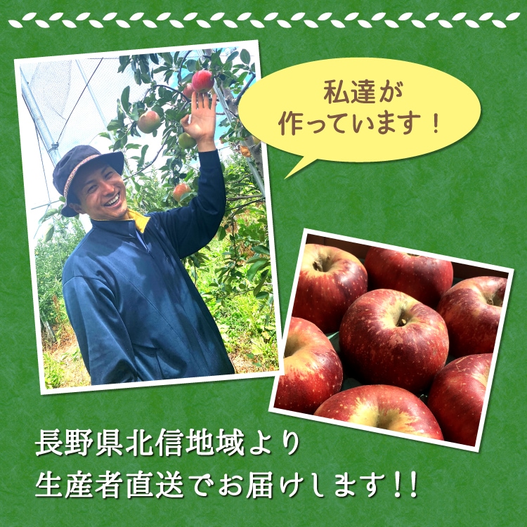 予約販売】りんご 秋映 秀品 2.8kg(7～13玉) お届け時期10月中旬予定
