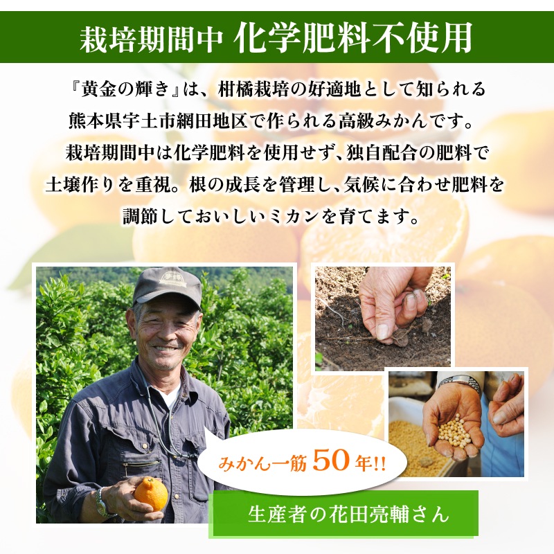 黄色いくまさん　青森岩木山採取　あけび蔓　150cm～ 15kg　2 岩木山 (JA/AM-001) 青森県弘前市 | ジオサミットでひとこえ