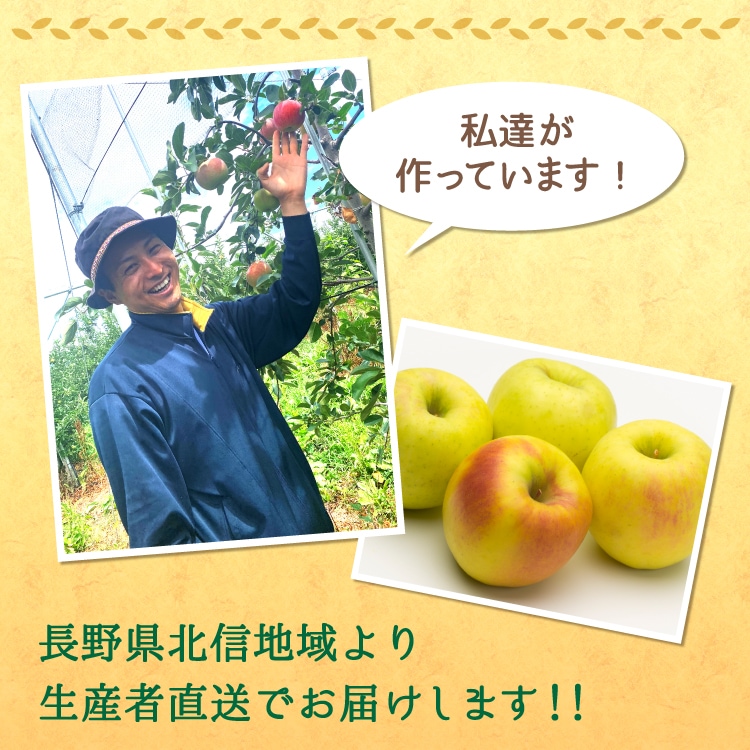 予約販売】りんご ぐんま名月 2.8kg(7～13玉) お届け時期11月上旬以降