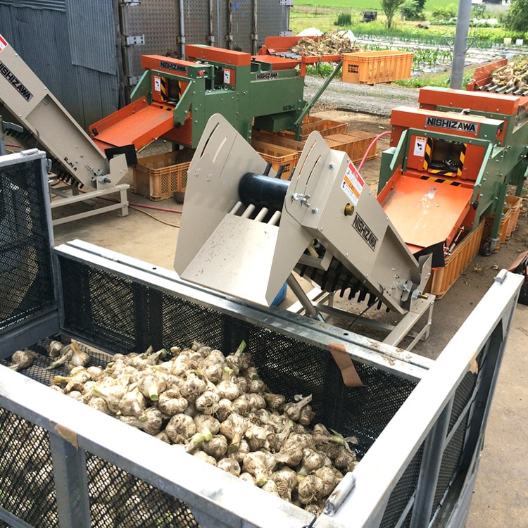 青森県産 頑固熟成 黒にんにく 1kg | 滋養食品 | 毎日通販