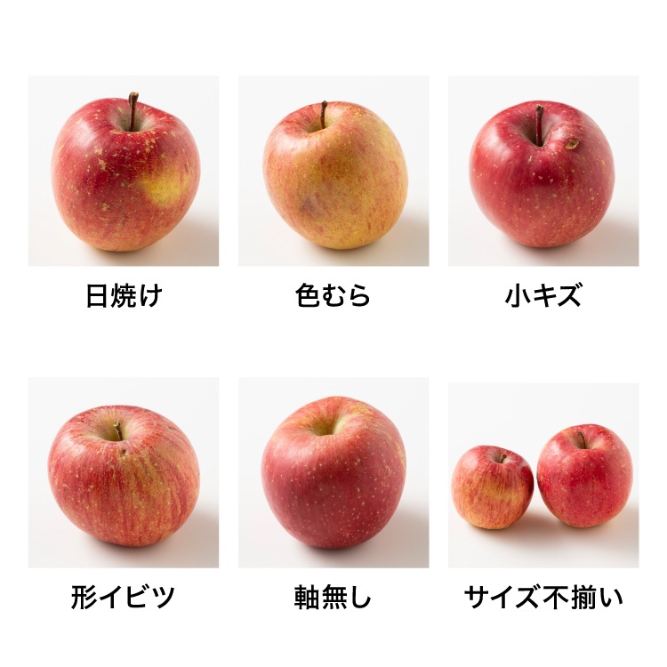 サンふじ 2kg※送料1,000円2箱以上で送料無料※ | 果物・野菜 | 毎日通販