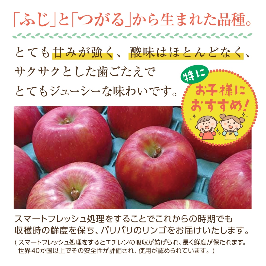 りんご シナノスイート 秀品 約1.8kg(5～10玉) スマートフレッシュで