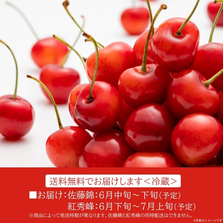 予約販売】山形県産 さくらんぼ 佐藤錦 贈答用 手詰め <1kg/特秀品L>お