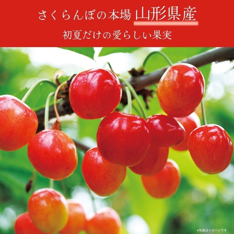 ヤマト運輸様限定特別価格】【予約販売】山形県産 さくらんぼ 紅秀峰