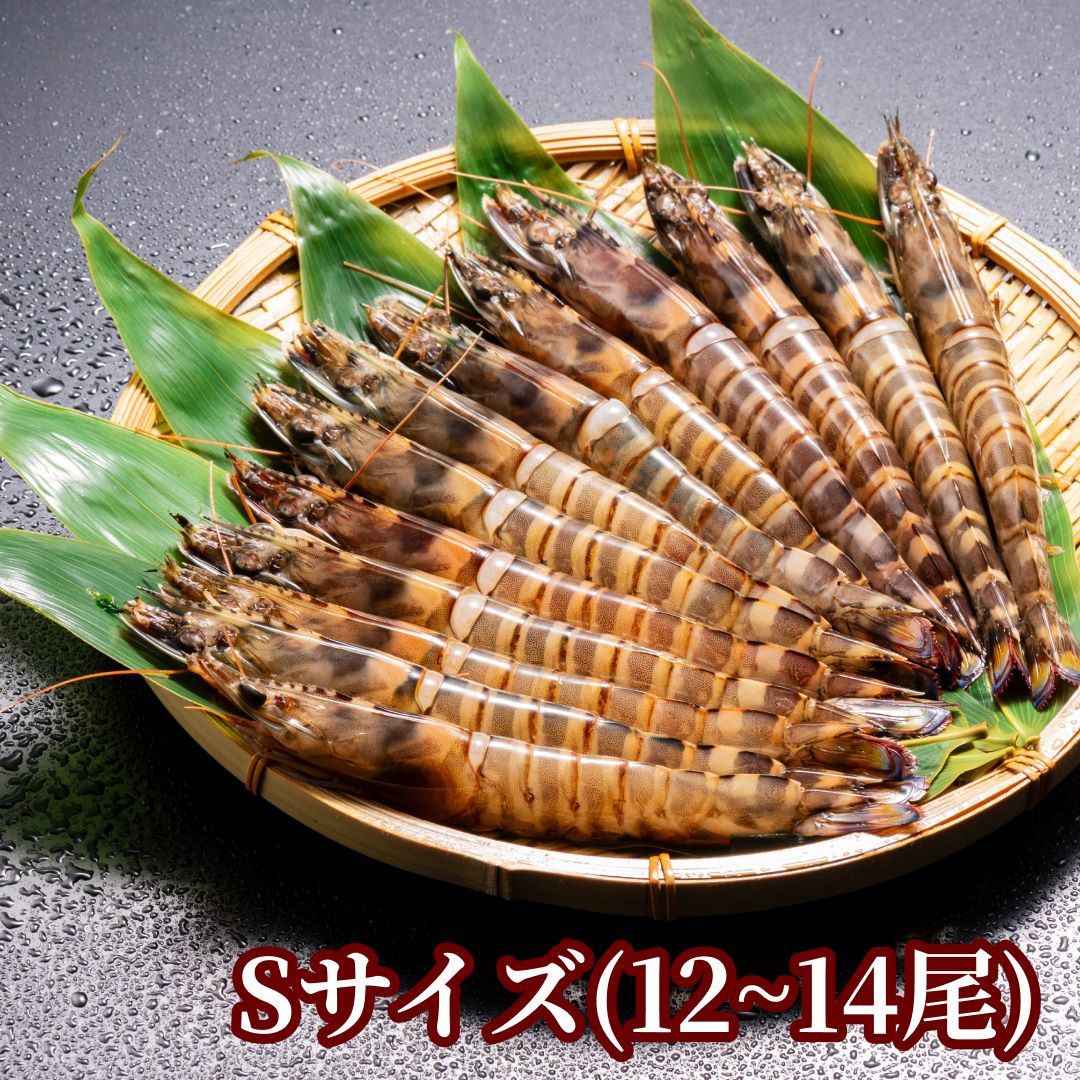 秋穂産活き〆冷凍車海老400g | 魚介・海鮮 | 毎日通販