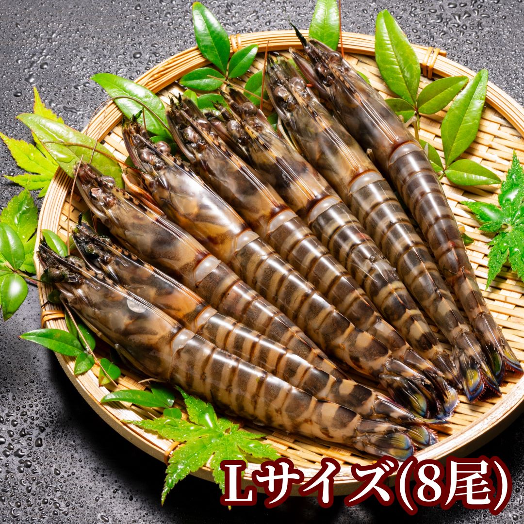 秋穂産活き〆冷凍車海老400g | 魚介・海鮮 | 毎日通販