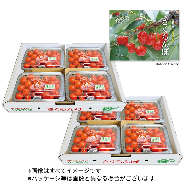 の 人気アイテムランキング 予約】山形県産 秀品 <1.6kg(200g×8パック)// 佐藤錦 さくらんぼ さくらんぼ