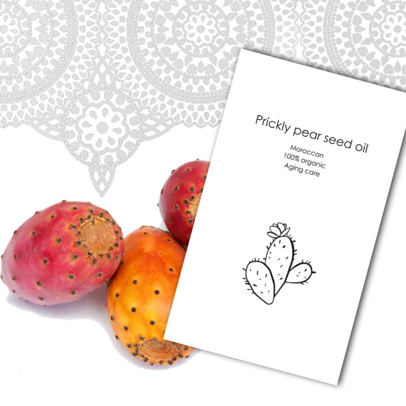 ڽ󤪻ۥå100󥪡˥å 掠ܥƥ󥪥1.5ml1-2ʬˡ͹إݥȡ̵