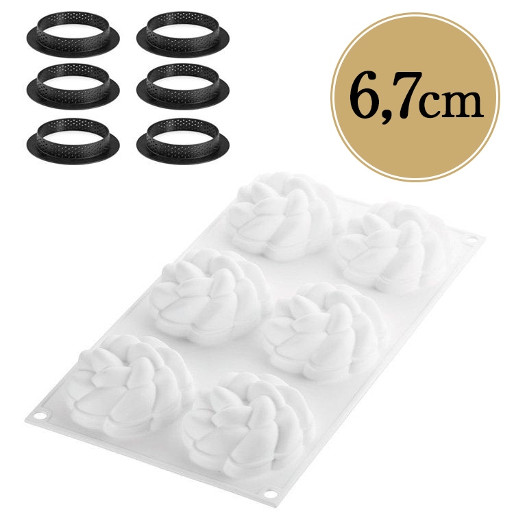 ���ꥳ�ޡ��� ���å� ����� �ե롼��80 ���ꥳ�󥴥෿ ������ �ץ饹���å� ��� 6�� ���å� | ����ȷ�